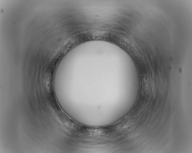 X0000089360698200707061050