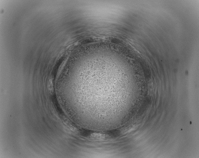 X0000089360699200707061049