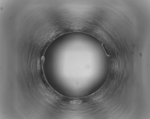 X0000089360700200707061049