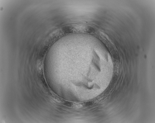 X0000089360701200707061049