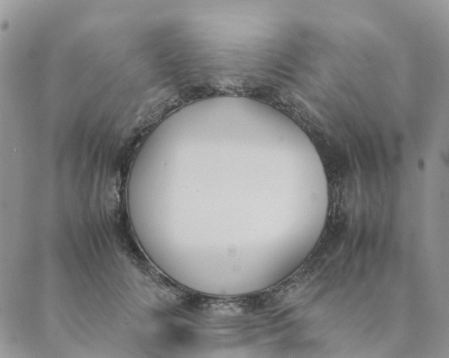 X0000089360702200707061049