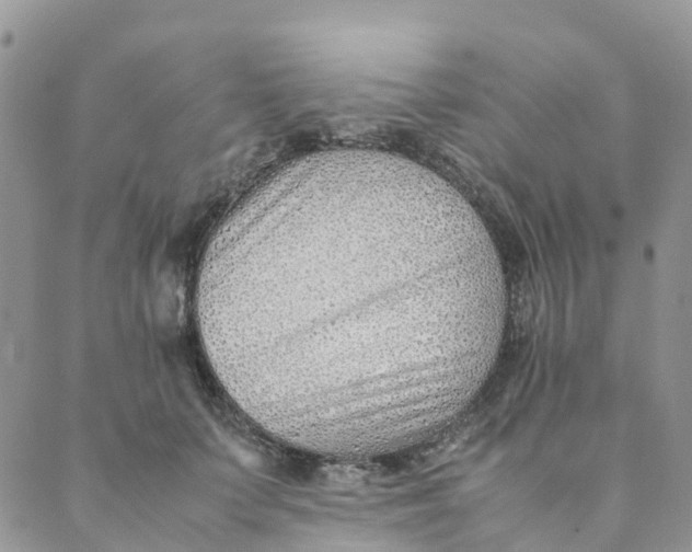 X0000089360703200707061049