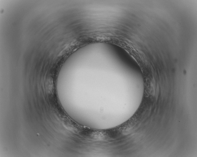 X0000089360704200707061049