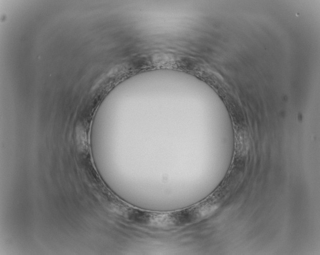 X0000089360705200707061049