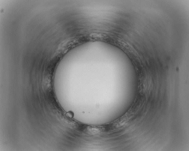 X0000089360706200707061049