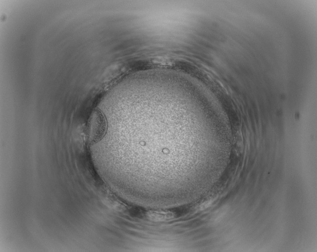 X0000089360707200707061049