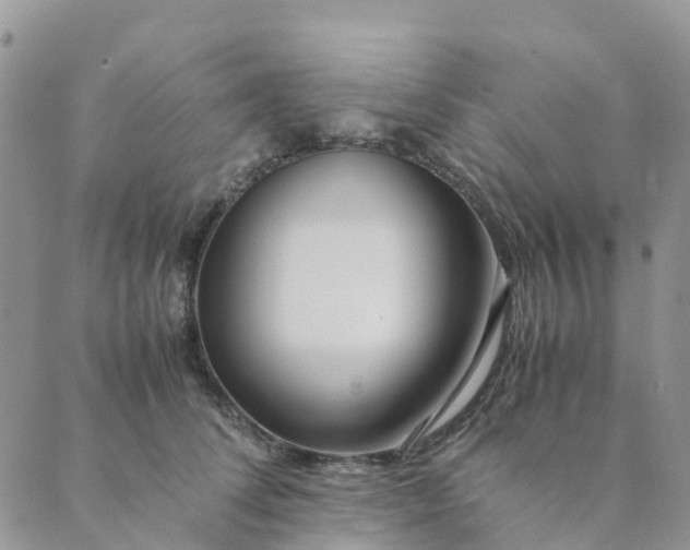 X0000089360708200707061049