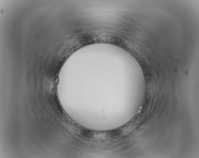 X0000089360709200707061049