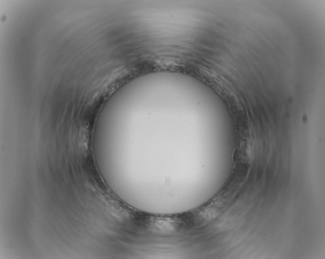 X0000089360710200707061049