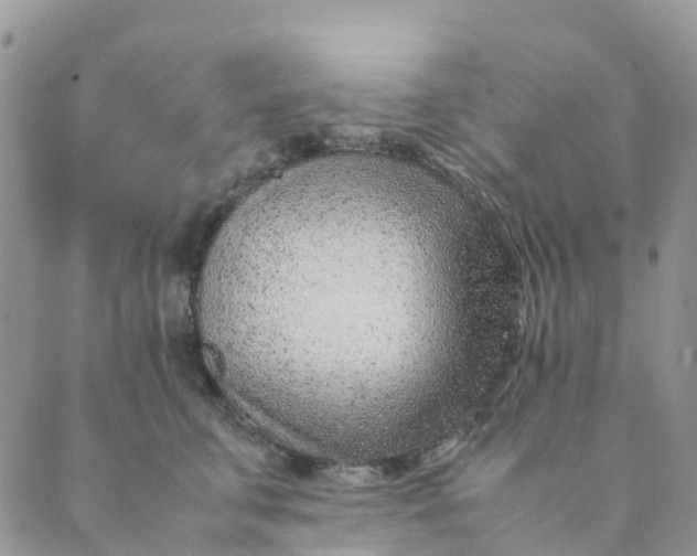 X0000089360711200707061049