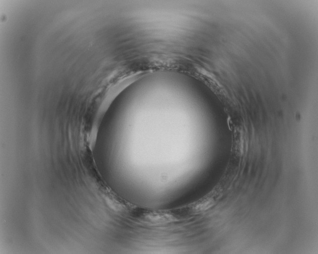 X0000089360712200707061049