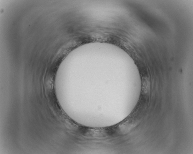 X0000089360713200707061049