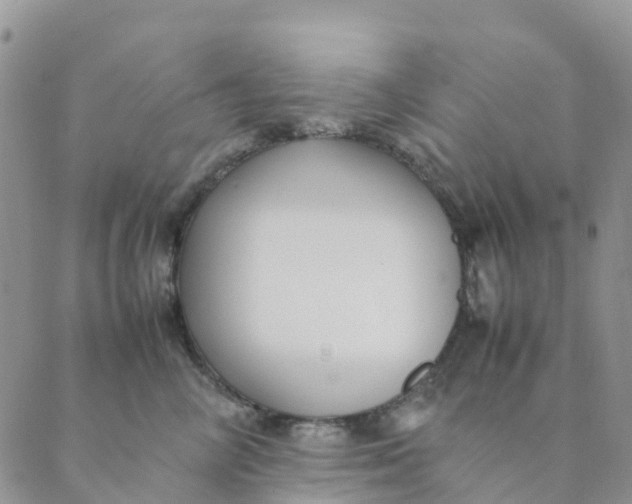 X0000089360714200707061049