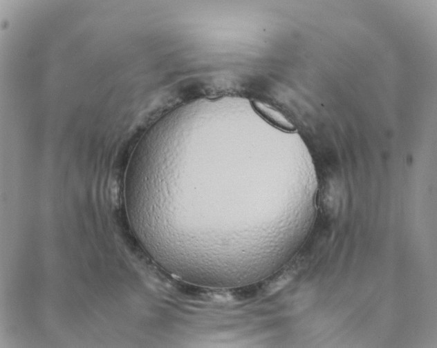 X0000089360715200707061049