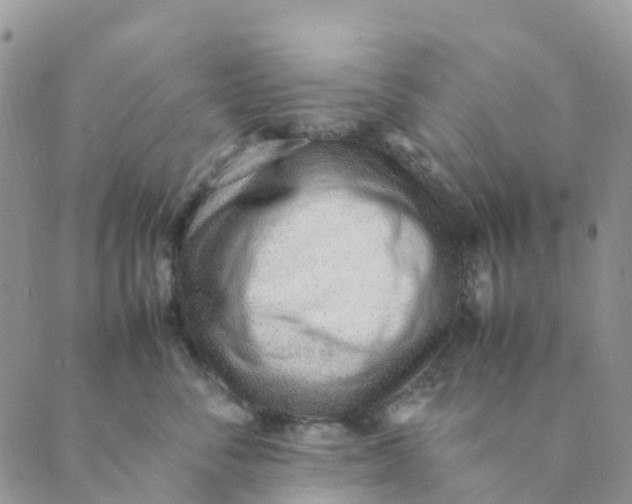 X0000089360716200707061049