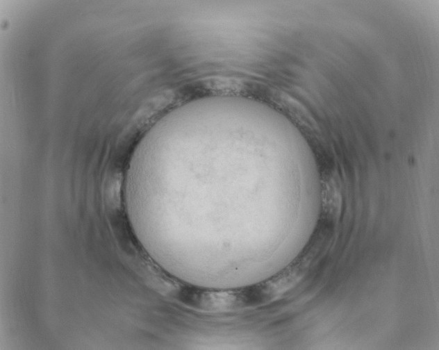 X0000089360717200707061049