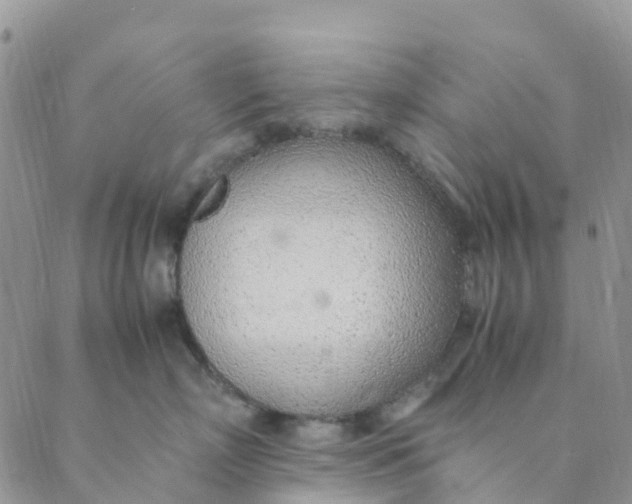 X0000089360718200707061049