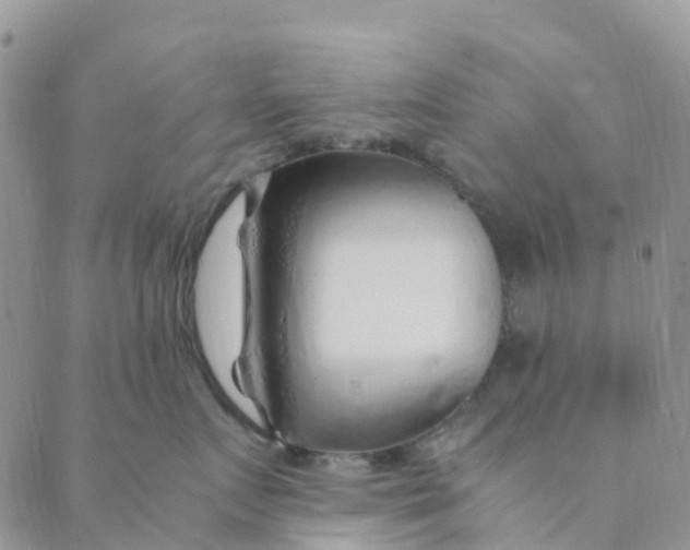 X0000089360719200707061049