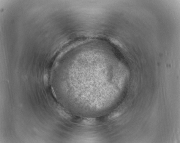 X0000089360720200707061049