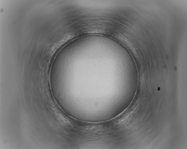 X0000089360721200707061048