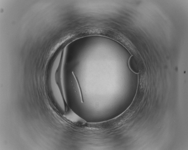 X0000089360722200707061048