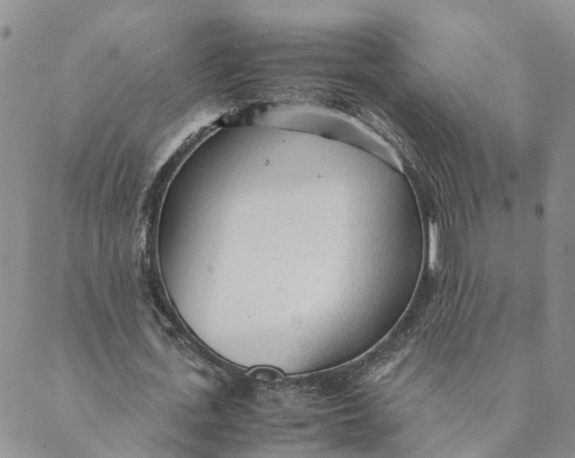 X0000089360723200707061048