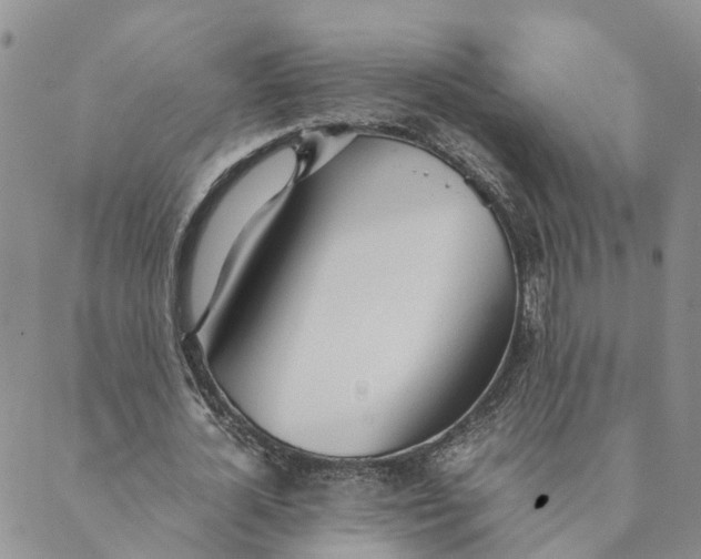 X0000089360724200707061048