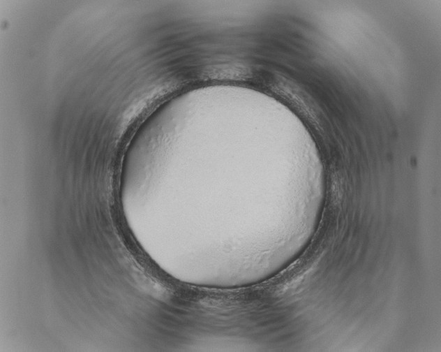 X0000089360725200707061048