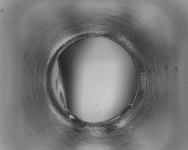 X0000089360726200707061048