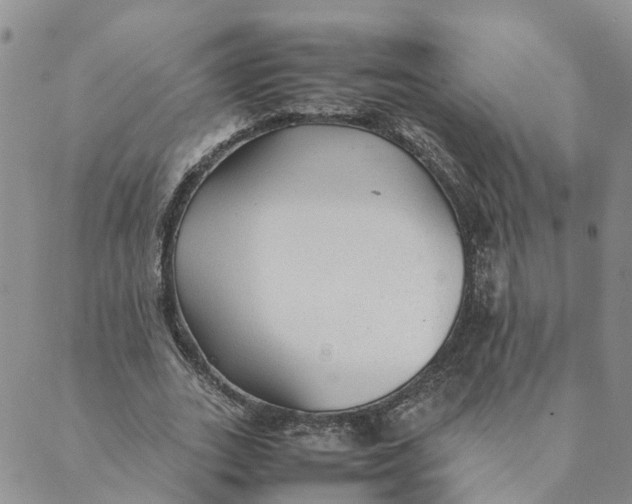 X0000089360727200707061048