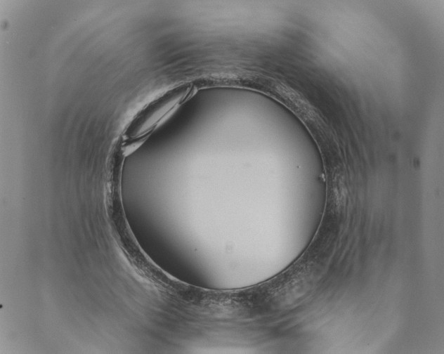 X0000089360728200707061048