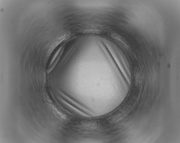 X0000089360729200707061049