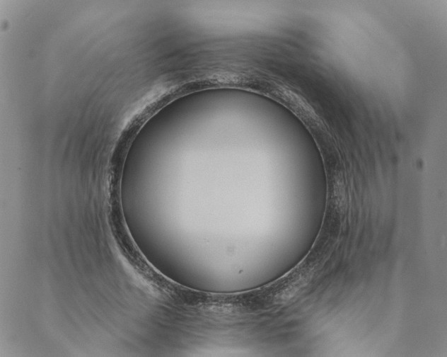 X0000089360730200707061049