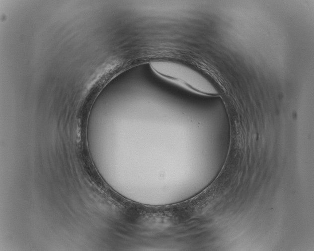 X0000089360731200707061049