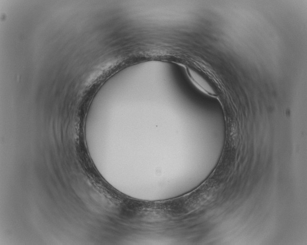 X0000089360732200707061049