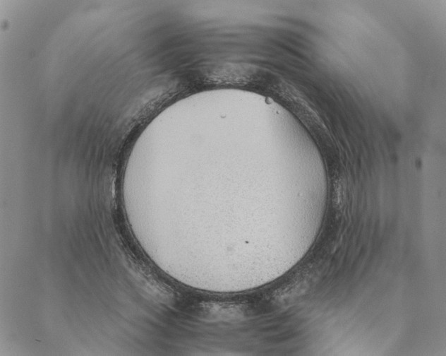 X0000089360733200707061049