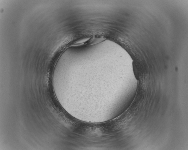 X0000089360735200707061049