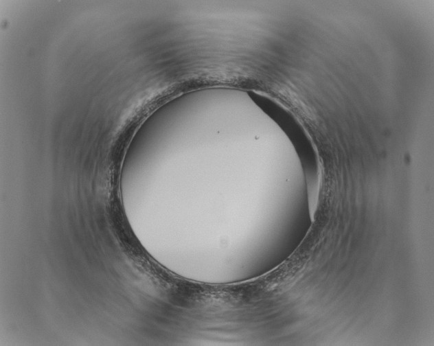 X0000089360736200707061049