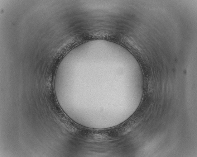 X0000089360737200707061049