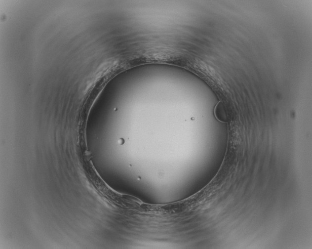 X0000089360738200707061049