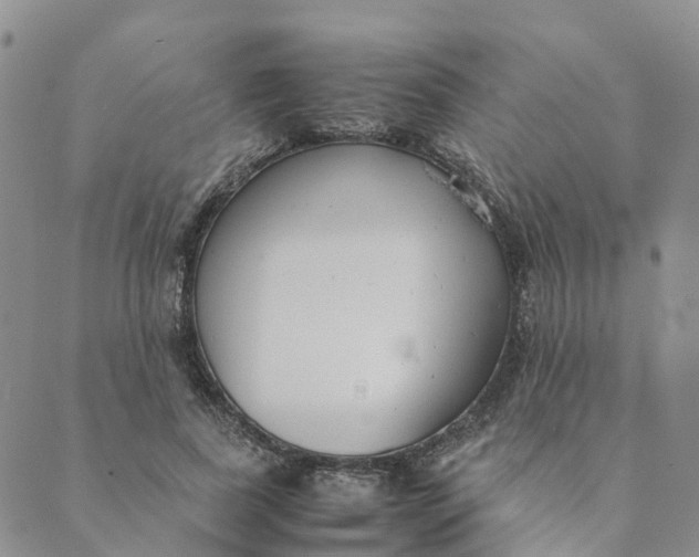 X0000089360739200707061049