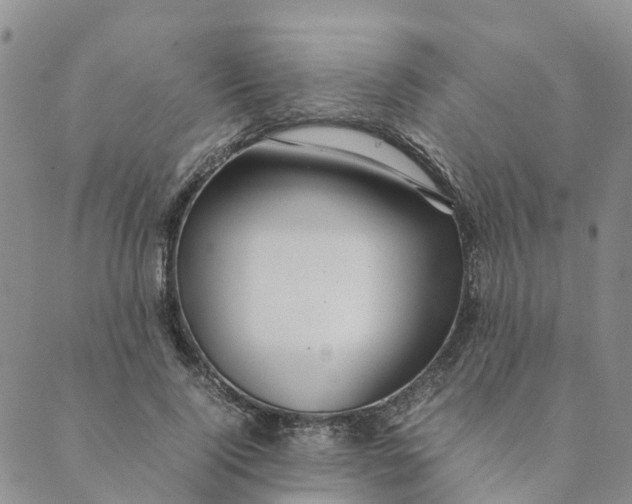 X0000089360740200707061049