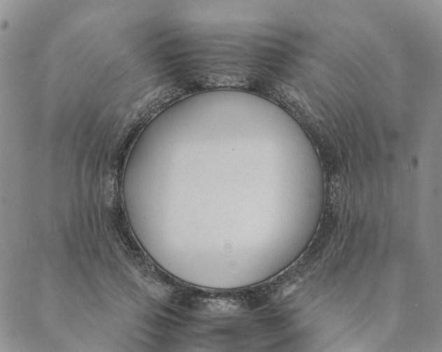 X0000089360741200707061049