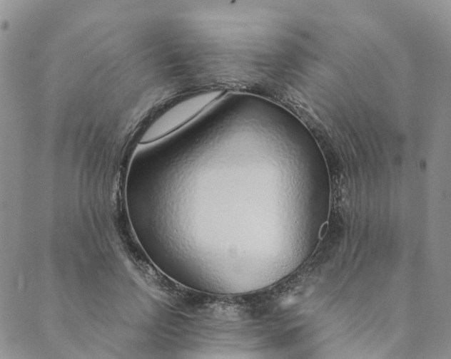 X0000089360742200707061049