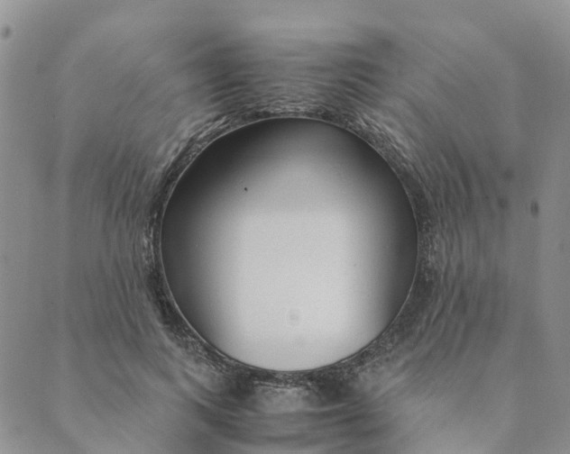 X0000089360743200707061049