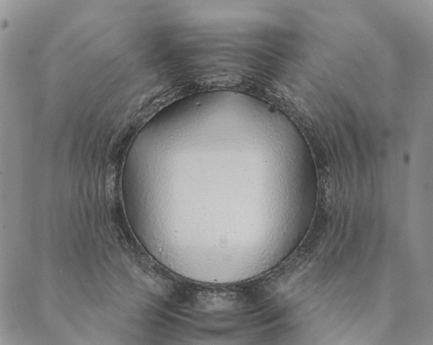 X0000089360745200707061049