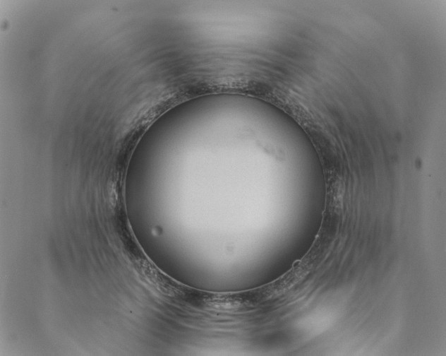 X0000089360746200707061049