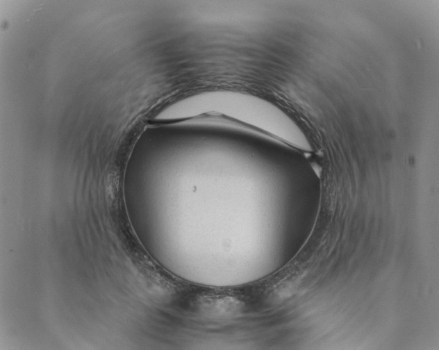 X0000089360747200707061049