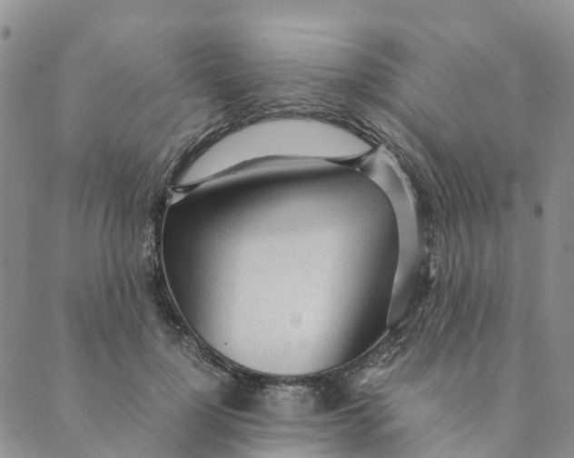 X0000089360748200707061049