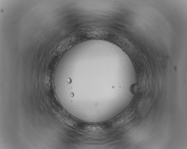 X0000089360749200707061049